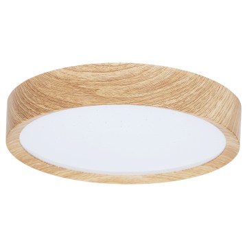 BRILAGI - LED plafonsko svetlo NATURA LED/12W/230V 4000K prečnika 26,3 cm