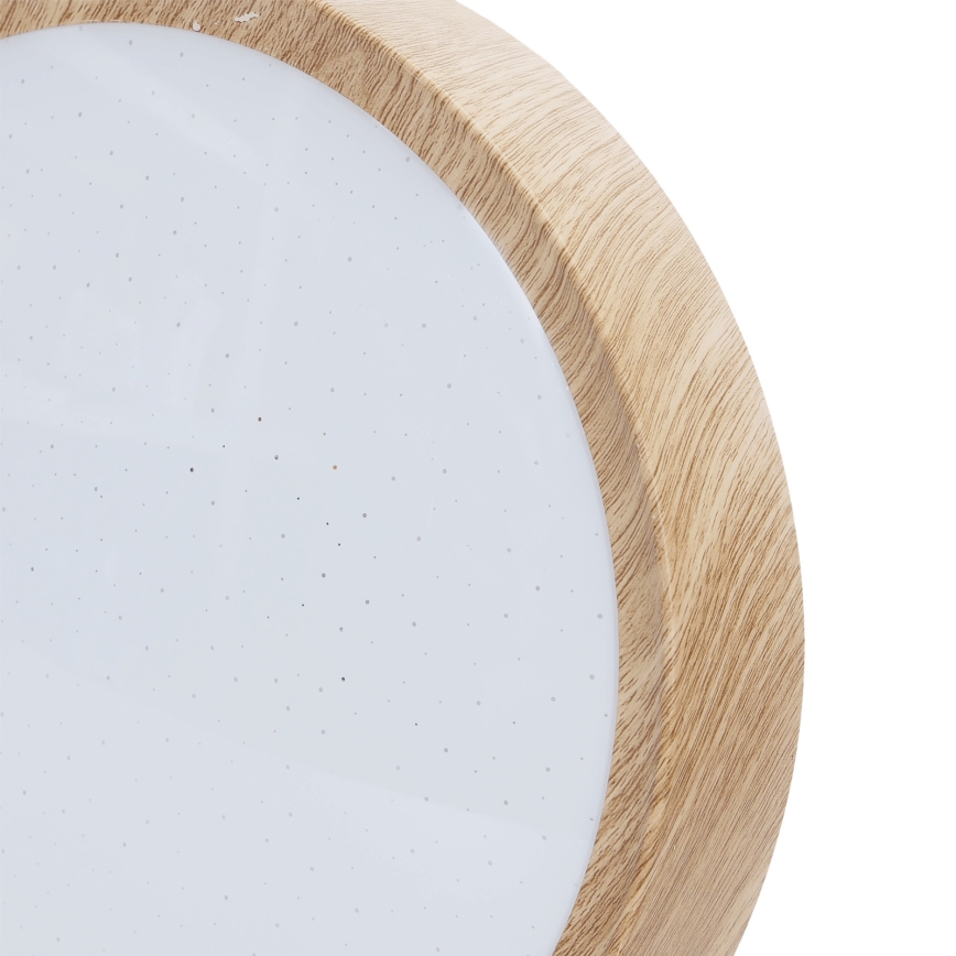 BRILAGI - LED plafonsko svetlo NATURA LED/12W/230V 4000K prečnika 26,3 cm