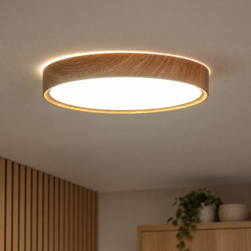 BRILAGI - LED plafonsko svetlo NATURA LED/20W/230V 4000K prečnik 33,7 cm