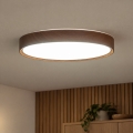 BRILAGI - LED plafonsko svetlo NATURA LED/24W/230V 4000K preč. 38,3 cm