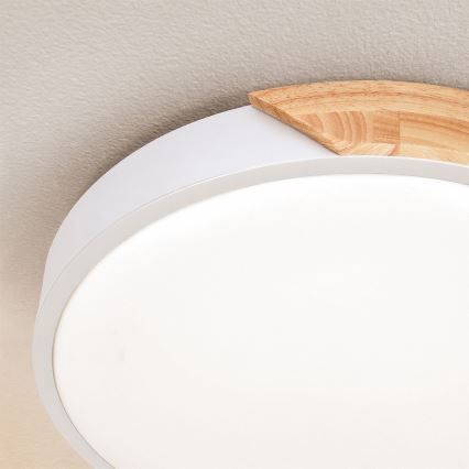 Brilagi - LED plafonsko svetlo PILANA LED/24W/230V hrast/bela prečnika 30 cm