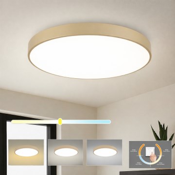 Brilagi - LED plafonsko svetlo POOL LED/100W/230V 3000/4500/6000K prečnik 80 cm bež