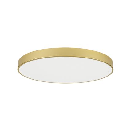 Brilagi - LED plafonsko svetlo POOL LED/128W/230V 3000/4500/6000K prečnika 100 cm zlatna