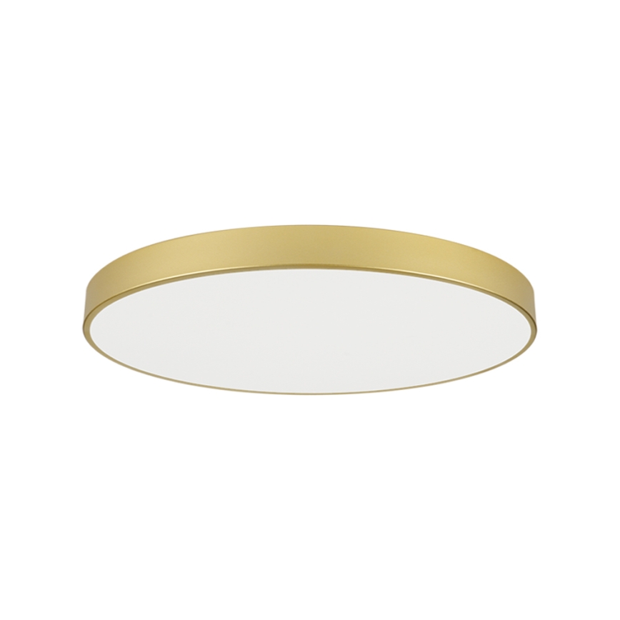 Brilagi - LED plafonsko svetlo POOL LED/128W/230V 3000/4500/6000K prečnika 100 cm zlatna