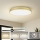 Brilagi - LED plafonsko svetlo POOL LED/128W/230V 3000/4500/6000K prečnika 100 cm zlatna