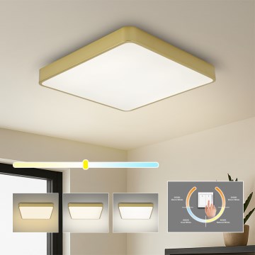 Brilagi - LED plafonsko svetlo POOL LED/36W/230V 3000/4000/6000K 40x40 cm zlatna