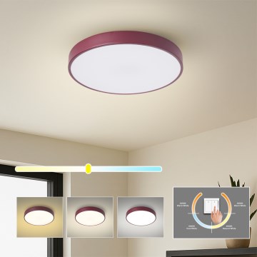 Brilagi - LED plafonsko svetlo POOL LED/36W/230V 3000/4000/6000K prečnik 30 cm bordo