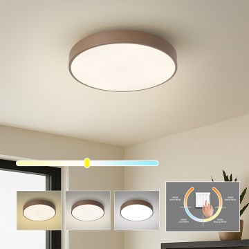 Brilagi - LED plafonsko svetlo POOL LED/36W/230V 3000/4000/6000K prečnik 30 cm braon