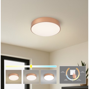 BRILAGI - LED plafonsko svetlo POOL LED/36W/230V 3000/4000/6000K prečnik 30 cm bronzano