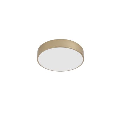 BRILAGI - LED plafonsko svetlo POOL LED/36W/230V 3000/4000/6000K prečnika 30 cm zlatno