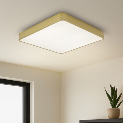 Brilagi - LED plafonsko svetlo POOL LED/36W/230V 3000/4500/6000K 40x40 cm zlatna