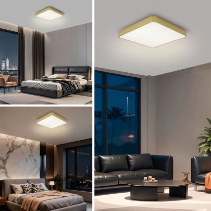 Brilagi - LED plafonsko svetlo POOL LED/36W/230V 3000/4500/6000K 40x40 cm zlatna