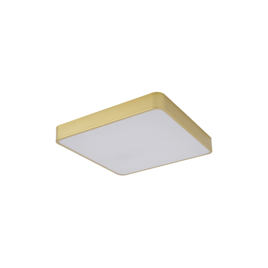 Brilagi - LED plafonsko svetlo POOL LED/36W/230V 3000/4500/6000K 40x40 cm zlatna