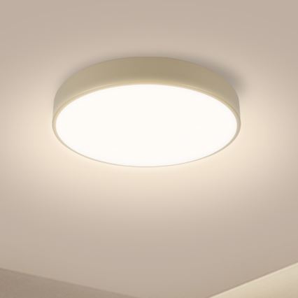 Brilagi - LED plafonsko svetlo POOL LED/36W/230V 3000/4500/6000K prečnik 30 cm bež