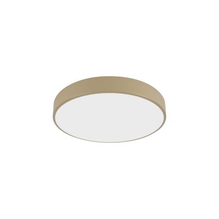 Brilagi - LED plafonsko svetlo POOL LED/36W/230V 3000/4500/6000K prečnik 30 cm bež