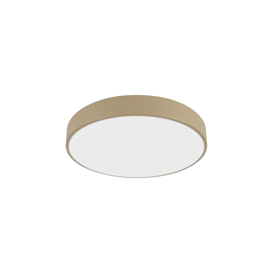 Brilagi - LED plafonsko svetlo POOL LED/36W/230V 3000/4500/6000K prečnik 30 cm bež