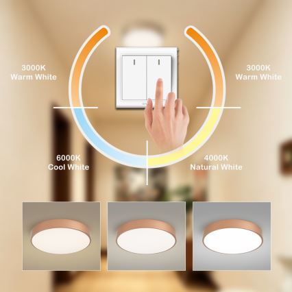 BRILAGI - LED plafonsko svetlo POOL LED/48W/230V 3000/4000/6000K prečnik 40 cm brončano