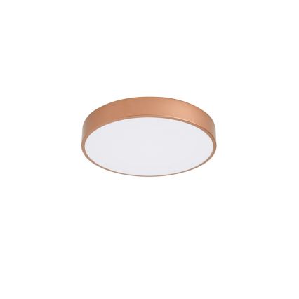 BRILAGI - LED plafonsko svetlo POOL LED/48W/230V 3000/4000/6000K prečnik 40 cm brončano