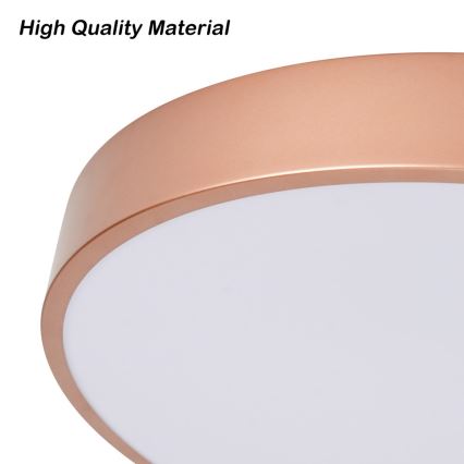 BRILAGI - LED plafonsko svetlo POOL LED/48W/230V 3000/4000/6000K prečnik 40 cm brončano