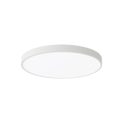 Brilagi - LED plafonsko svetlo POOL LED/60W/230V 3000/4000/6000K 50 cm belo
