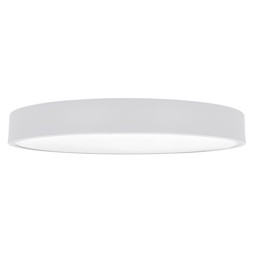 Brilagi - LED plafonsko svetlo POOL LED/60W/230V 3000/4500/6000K 50 cm belo