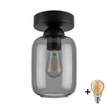 BRILAGI - LED plafonsko svetlo RETRO GLASS 1xE27/60W/230V prečnik 14 cm crna/zadimljeno-siva