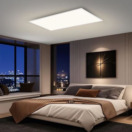 Brilagi - LED stropno svetlo SLIMFRAME LED/80W/230V 120x60 cm 3000/4000/6000K bela