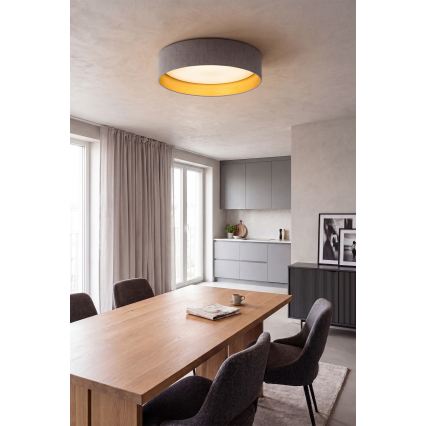 BRILAGI - LED plafonska svetiljka VELVET SIMPLE, LED/36W/230V, 3000K, prečnik 55 cm, siva/zlatna