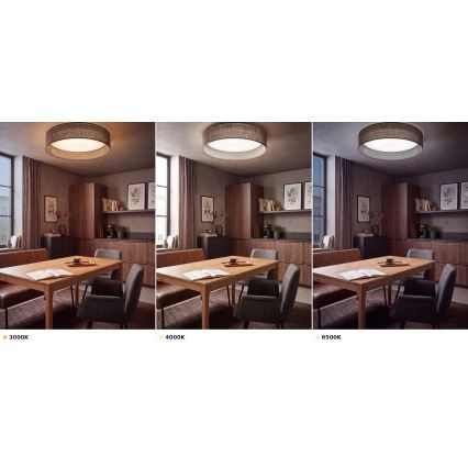 BRILAGI - LED plafonsko svetlo VELVET VARI LED/24W/230V 3000/4000/6500K prečnik 45 cm braon