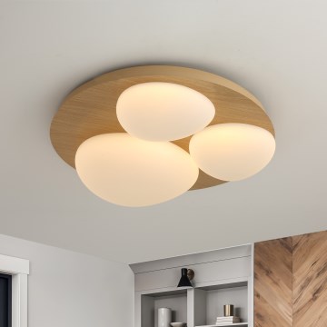 Brilagi - LED plafonsko svetlo VISBY WOOD LED/36W/230V prečnik 50 cm braon
