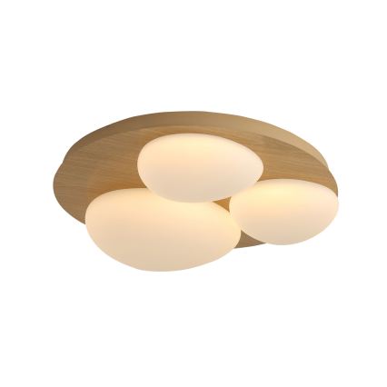 Brilagi - LED plafonsko svetlo VISBY WOOD LED/36W/230V prečnik 50 cm braon