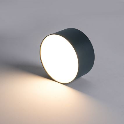 Brilagi - LED plafonsko svetlo za kupatilo FORIS LED/14W/230V, prečnik 12 cm, antracit, IP44