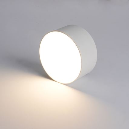 Brilagi - LED plafonsko svetlo za kupatilo FORIS LED/14W/230V, prečnik 12 cm, belo, IP44