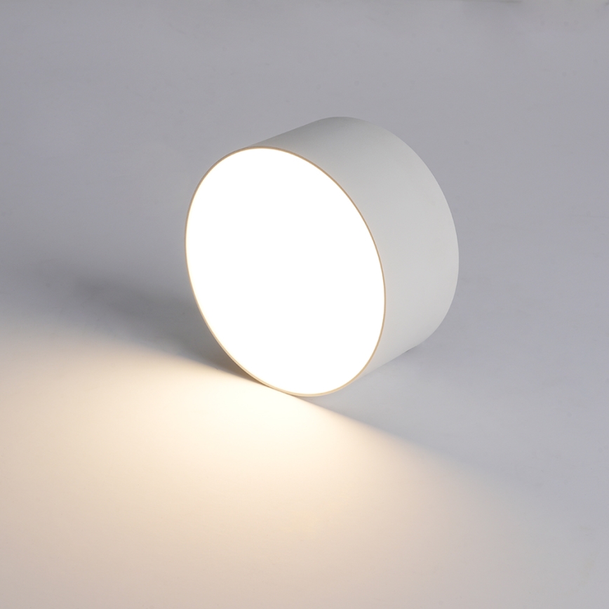 Brilagi - LED plafonsko svetlo za kupatilo FORIS LED/14W/230V, prečnik 12 cm, belo, IP44
