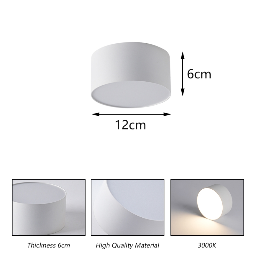 Brilagi - LED plafonsko svetlo za kupatilo FORIS LED/14W/230V, prečnik 12 cm, belo, IP44