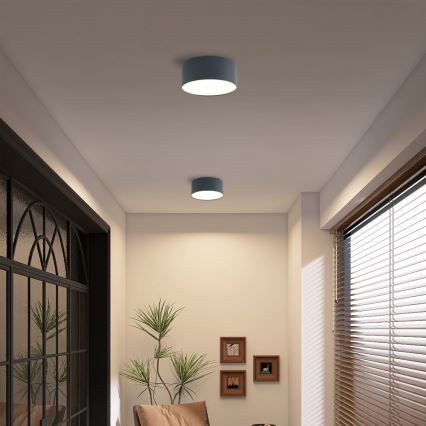 Brilagi - LED plafonsko svetlo za kupatilo FORIS LED/20W/230V prečnika 15 cm antracitno IP44