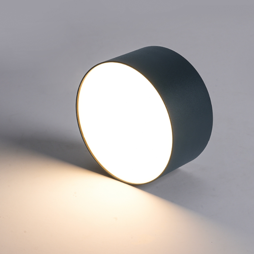 Brilagi - LED plafonsko svetlo za kupatilo FORIS LED/20W/230V prečnika 15 cm antracitno IP44