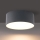 Brilagi - LED plafonsko svetlo za kupatilo FORIS LED/20W/230V prečnika 15 cm antracitno IP44