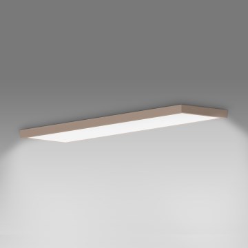 Brilagi - LED plafonsko svetlo za kupatilo FRAME LED/50W/230V 120x30 cm IP44 bež