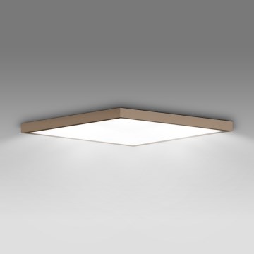 Brilagi - LED plafonsko svetlo za kupatilo FRAME LED/50W/230V 60x60 cm IP44 bež