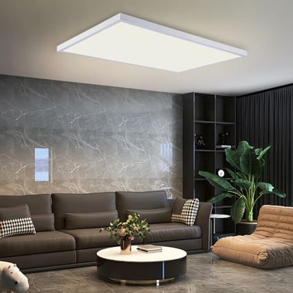 Brilagi - LED plafonsko svetlo za kupatilo FRAME LED/96W/230V 120x60 cm 3000/4000/6000K IP44 bela