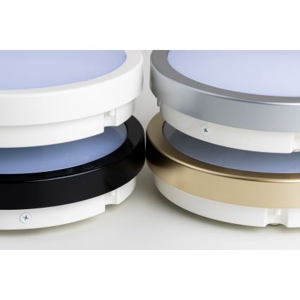 Brilagi - LED plafonsko svetlo za kupatilo PERA LED/18W/230V pr. 22 cm IP65 crno