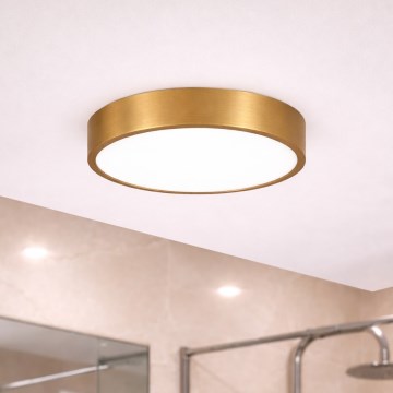 Brilagi - LED plafonsko svetlo za kupatilo POOL LED/24W/230V 3000/4000/5500K prečnik 30 cm IP54 bronza