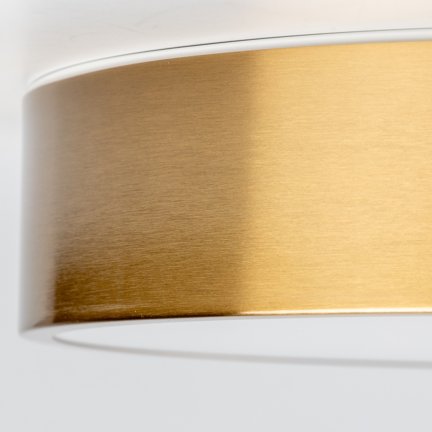 Brilagi - LED plafonsko svetlo za kupatilo POOL LED/24W/230V 3000/4000/5500K prečnik 30 cm IP54 bronza