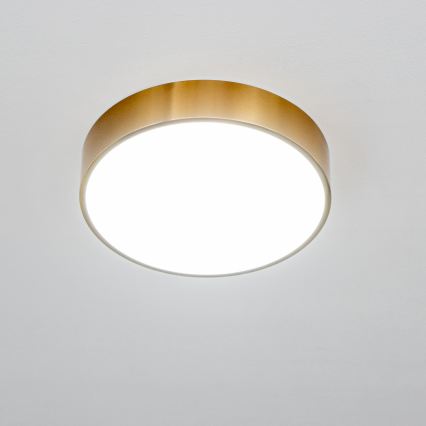 Brilagi - LED plafonsko svetlo za kupatilo POOL LED/24W/230V 3000/4000/5500K prečnik 30 cm IP54 bronza