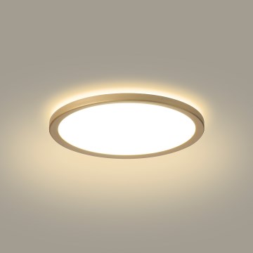 Brilagi - LED plafonsko svetlo za kupatilo ULTRA SLIM LED/12W/230V prečnik 22,5 cm zlatno IP54