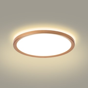 Brilagi - LED plafonsko svetlo za kupatilo ULTRA SLIM LED/24W/230V Ø 42 cm ružičasto zlato IP54