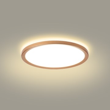 Brilagi - LED plafonsko svetlo za kupatilo ULTRA TANKO LED/18W/230V, prečnika 30 cm, roze zlato, IP54