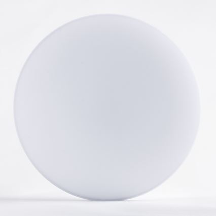Brilagi - LED plafonsko svetlo za kupatilo VESTAS LED/12W/230V pr. 23 cm 3000K IP54