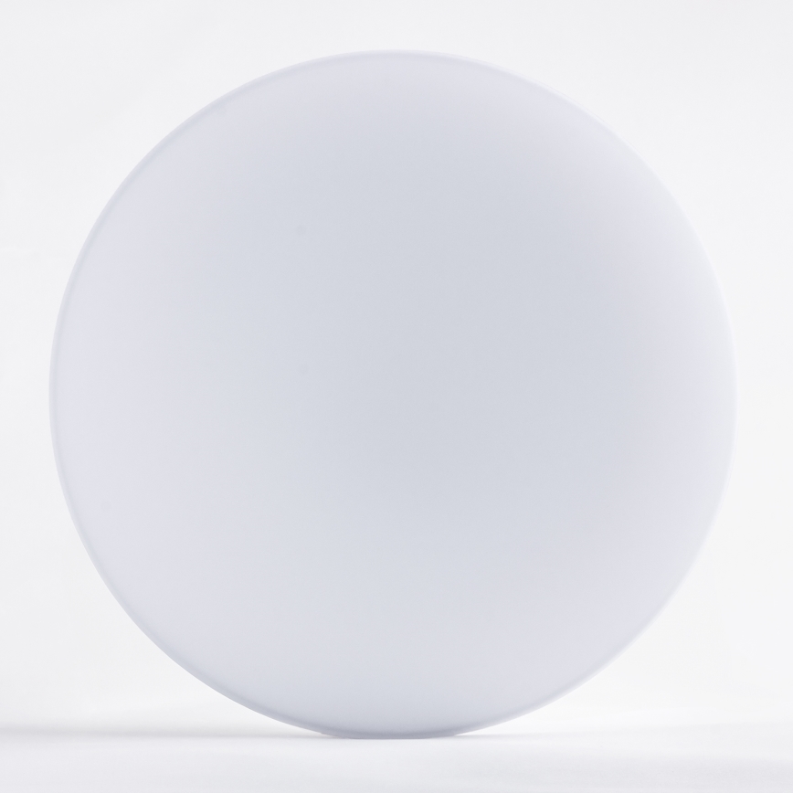 Brilagi - LED plafonsko svetlo za kupatilo VESTAS LED/12W/230V pr. 23 cm 3000K IP54